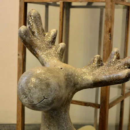 아파트호텔 Czarna 자코파네