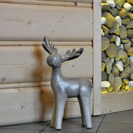 Czarna Aparthotel Zakopane